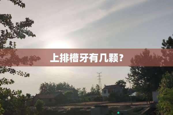 上排槽牙有几颗？