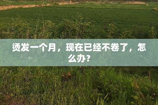 烫发一个月，现在已经不卷了，怎么办？