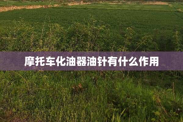 摩托车化油器油针有什么作用