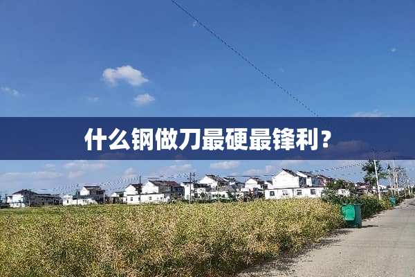 什么钢做刀最硬最锋利？