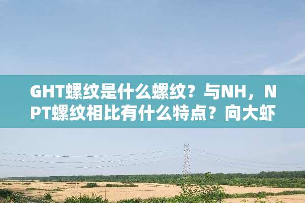 GHT螺纹是什么螺纹？与NH，NPT螺纹相比有什么特点？向大虾求助！