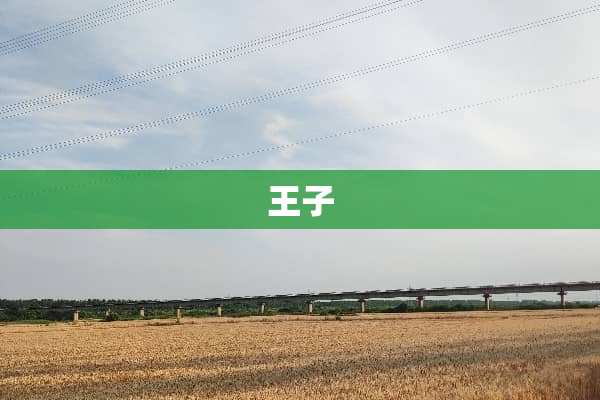 王子