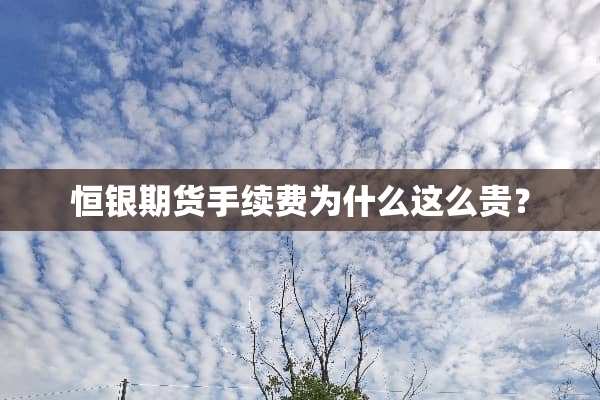 恒银期货手续费为什么这么贵？