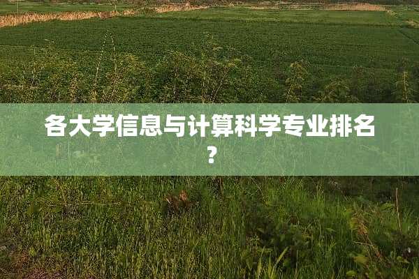各大学信息与计算科学专业排名？