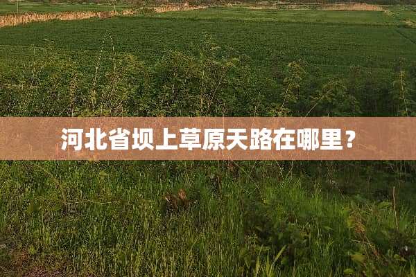 河北省坝上草原天路在哪里？