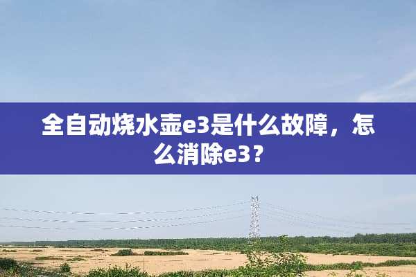 全自动烧水壶e3是什么故障，怎么消除e3？