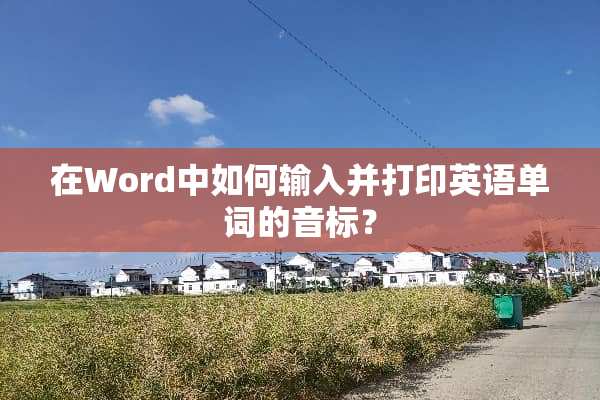 在Word中如何输入并打印英语单词的音标？