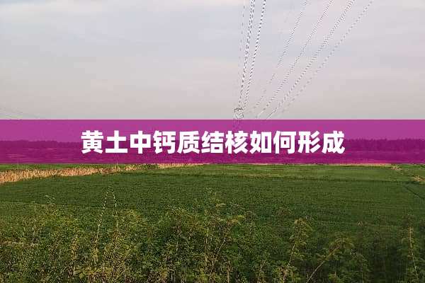 黄土中钙质结核如何形成