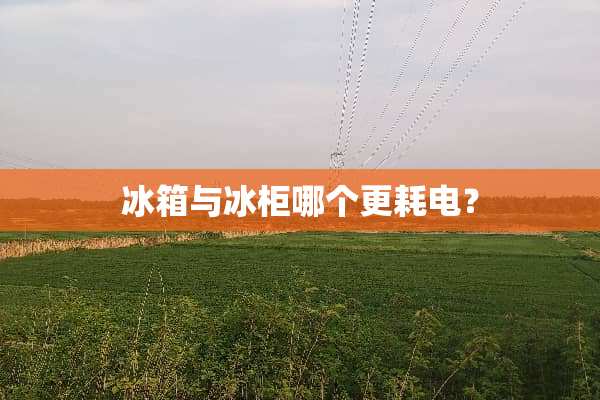 冰箱与冰柜哪个更耗电？