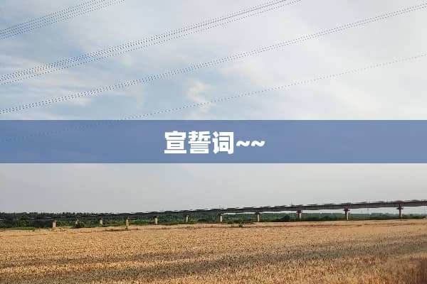 宣誓词~~
