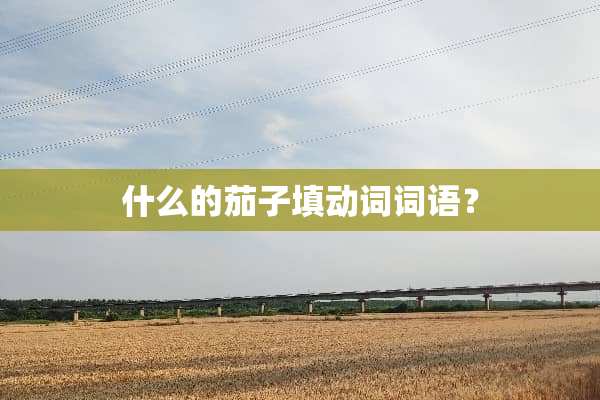 什么的茄子填动词词语？