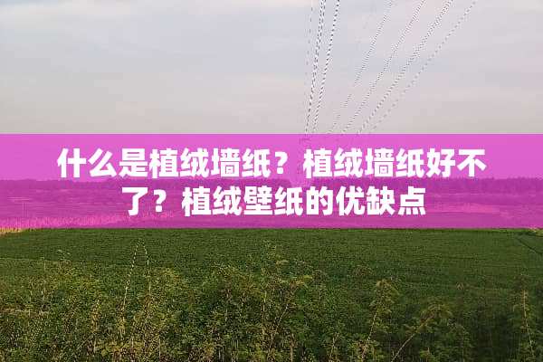 什么是植绒墙纸？植绒墙纸好不了？植绒壁纸的优缺点