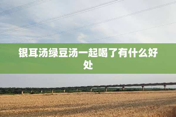 银耳汤绿豆汤一起喝了有什么好处