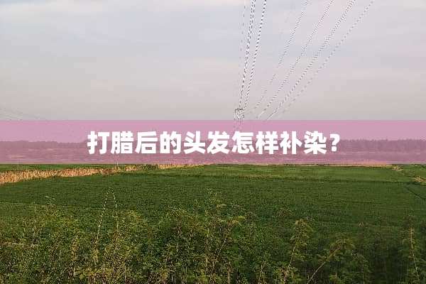 打腊后的头发怎样补染？