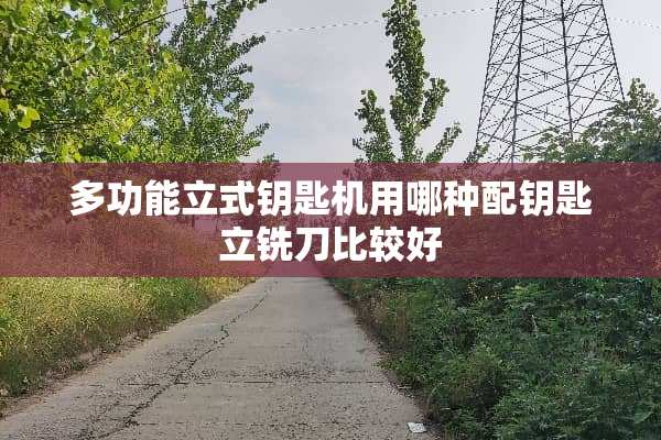 多功能立式钥匙机用哪种配钥匙立铣刀比较好