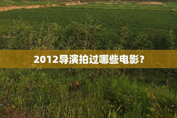 2012导演拍过哪些电影？