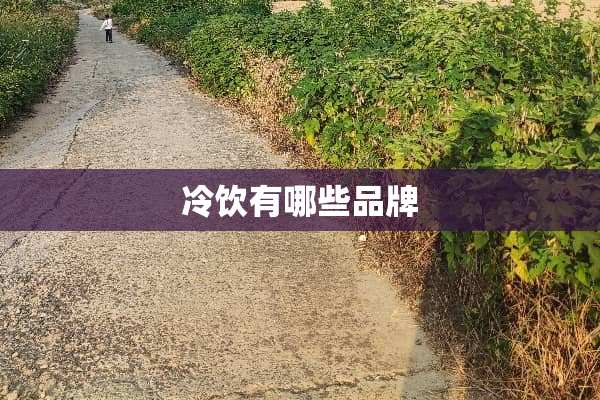 冷饮有哪些品牌