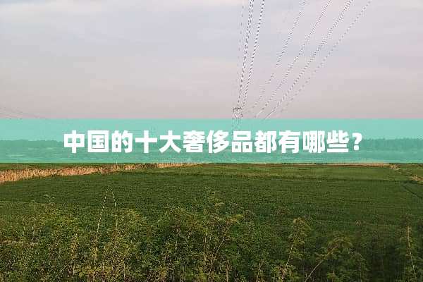 中国的十大奢侈品都有哪些？
