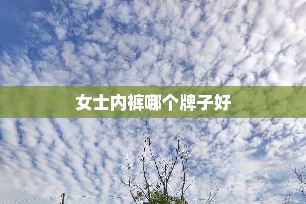 女士**哪个牌子好
