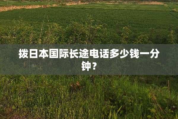 拨日本国际长途电话多少钱一分钟？