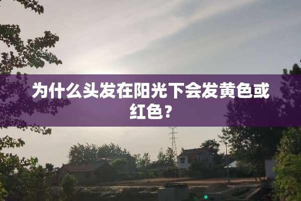 为什么头发在阳光下会发黄色或红色？