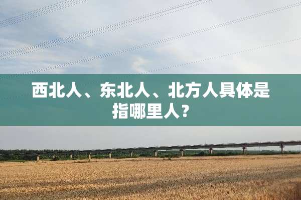 西北人、东北人、北方人具体是指哪里人？