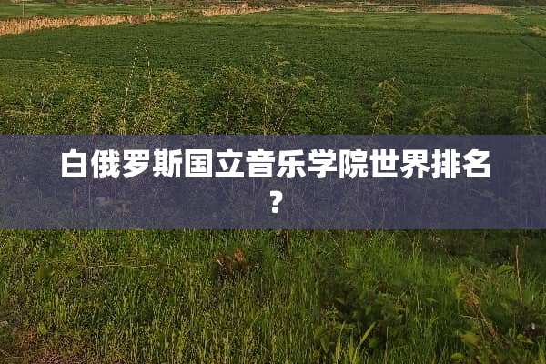 白俄罗斯国立音乐学院世界排名？