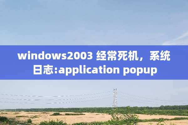windows2003 经常死机，系统日志:application popup