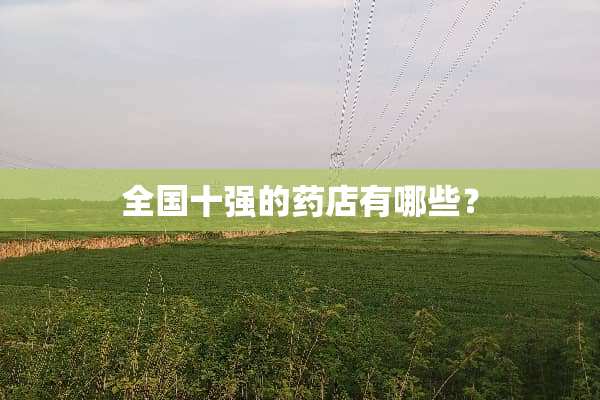 全国十强的药店有哪些？