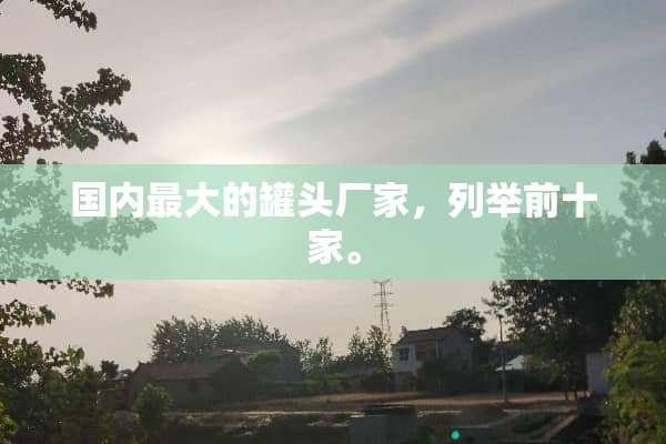 国内最大的罐头厂家，列举前十家。