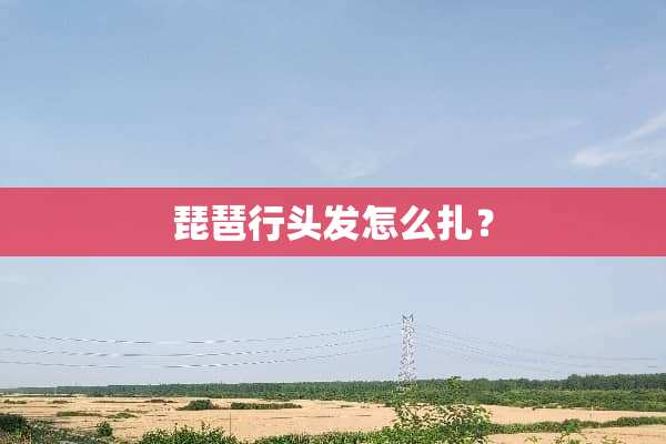 琵琶行头发怎么扎？