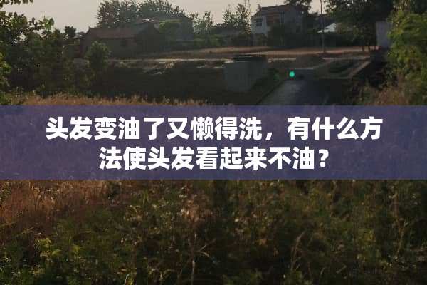 头发变油了又懒得洗，有什么方法使头发看起来不油？