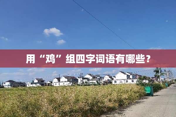 用“鸡”组四字词语有哪些？