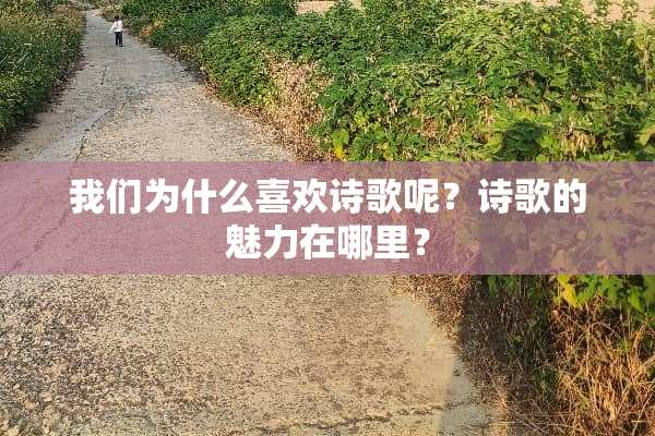 我们为什么喜欢诗歌呢？诗歌的魅力在哪里？