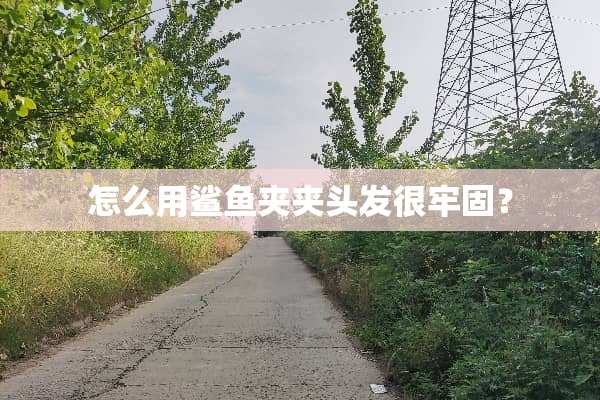 怎么用鲨鱼夹夹头发很牢固？