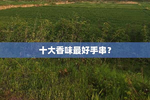 十大香味最好手串？