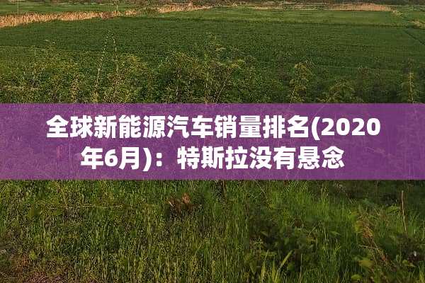 全球新能源汽车销量排名(2020年6月)：特斯拉没有悬念