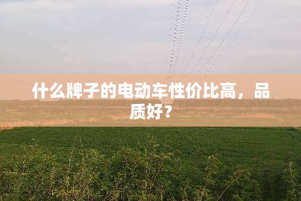 什么牌子的电动车性价比高，品质好？