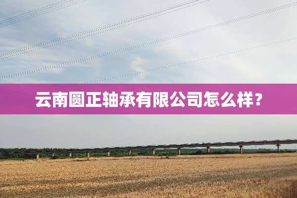 云南圆正轴承有限公司怎么样？