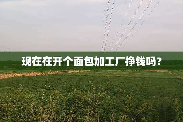 现在在开个面包加工厂挣钱吗？