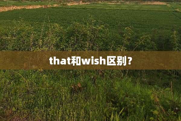 that和wish区别？