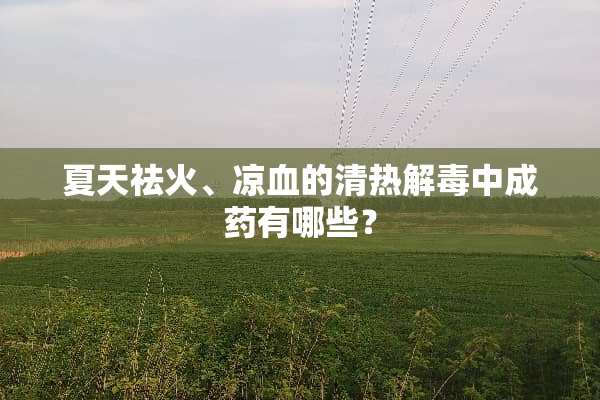 夏天祛火、凉血的清热解毒中成药有哪些？