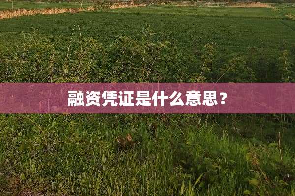 融资凭证是什么意思？