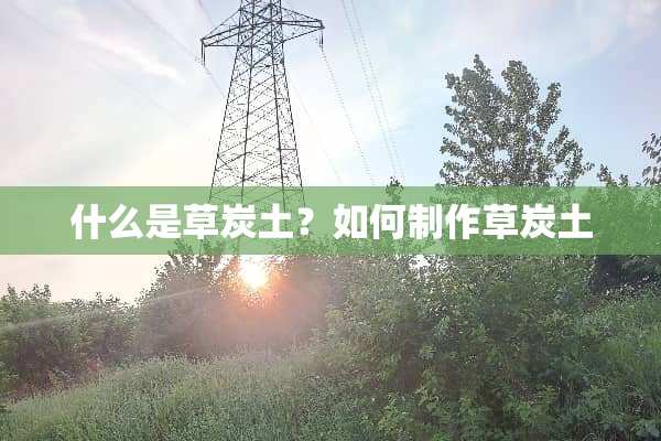什么是草炭土？如何制作草炭土