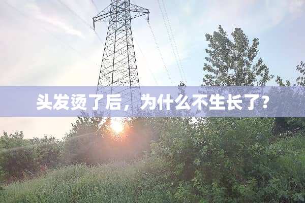 头发烫了后，为什么不生长了？