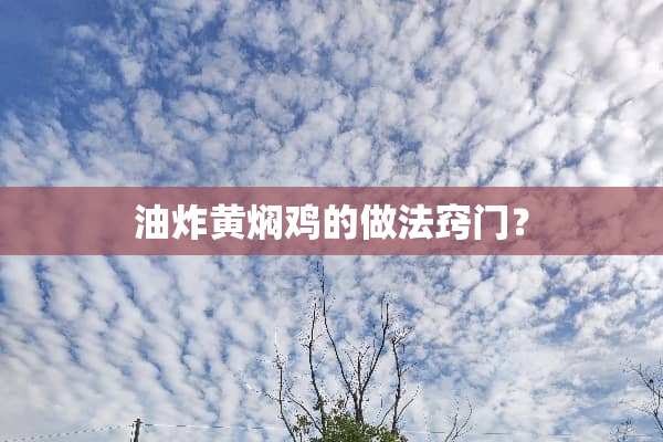 油炸黄焖鸡的做法窍门？