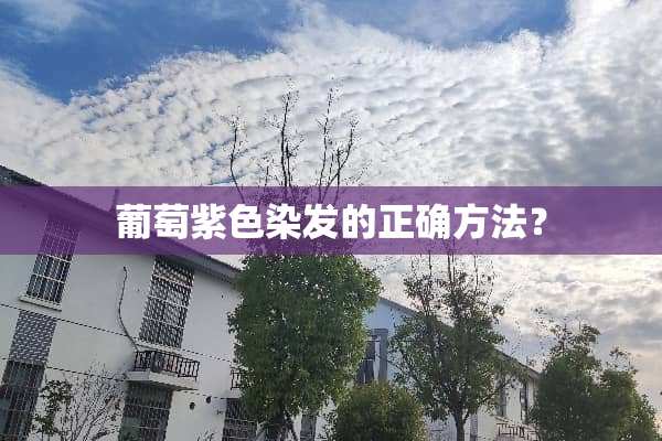 葡萄紫色染发的正确方法？