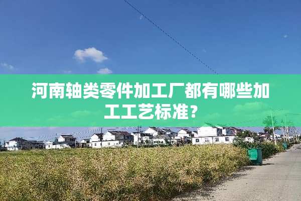 河南轴类零件加工厂都有哪些加工工艺标准？
