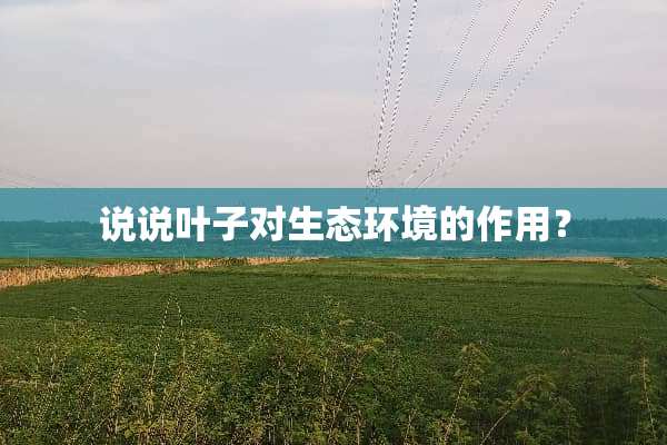 说说叶子对生态环境的作用？