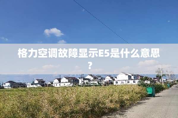 格力空调故障显示E5是什么意思？
